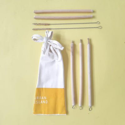Bamboo straws with brushes X 5